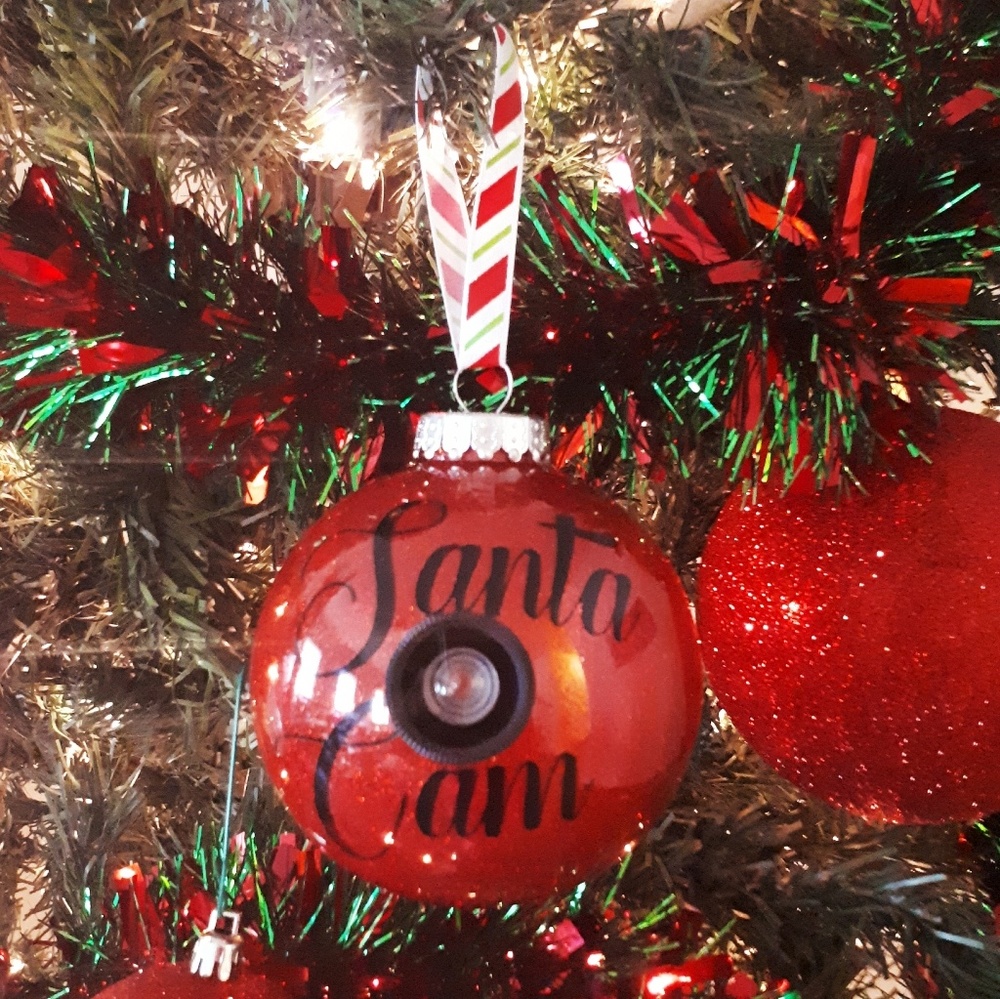 Santa cam